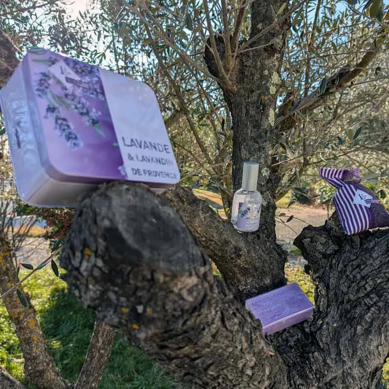 Coffret métal de lavande sur un arbre