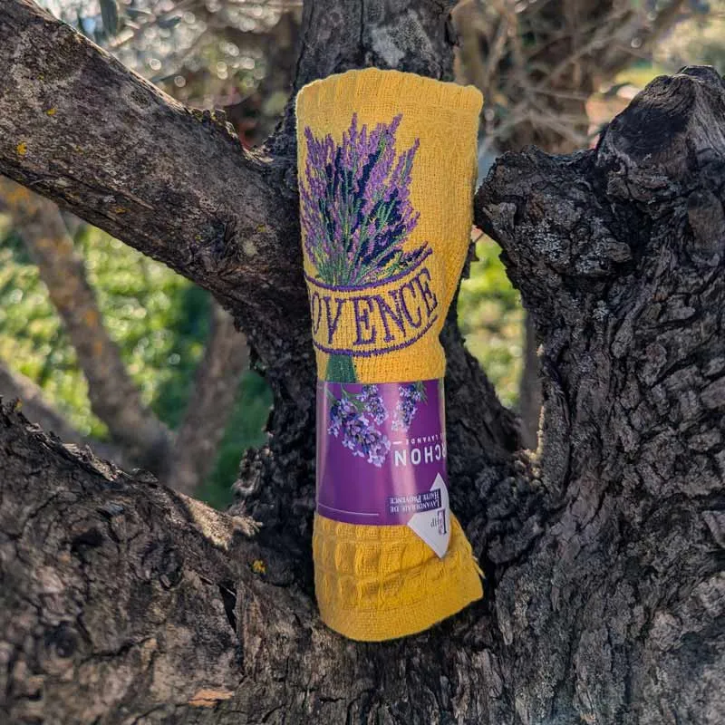 Torchon jaune brodé Provence dans un olivier