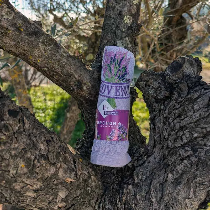 Torchon violet brodé Provence présenté dans un arbre