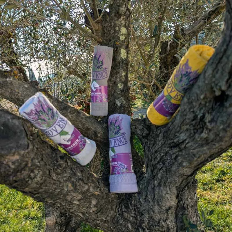 Torchon brodé Provence violet, gris, blanc et jaune présenté sur arbre