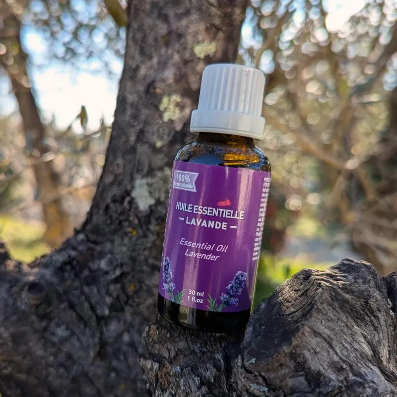 Huile essentielle 30ml lavande fine sur un arbre
