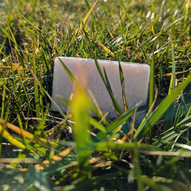 Savon artisanal 100 grs au lait d'ânesse