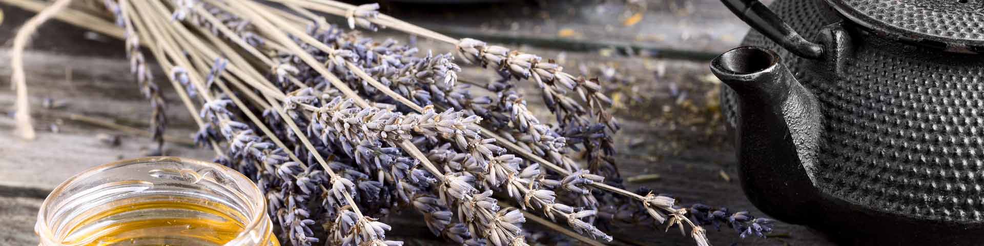 Article sur les usages de la lavande en Provence
