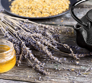 Quels sont les usages de la lavande en Provence ?